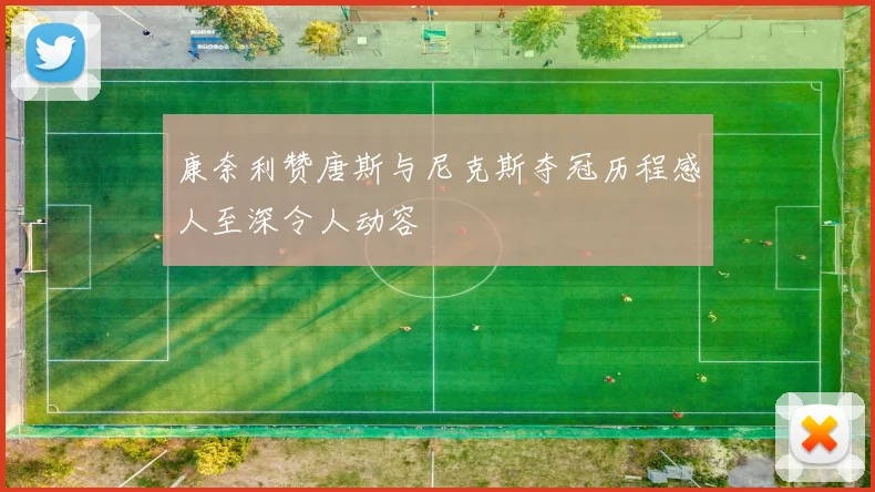 康奈利赞唐斯与尼克斯夺冠历程感人至深令人动容