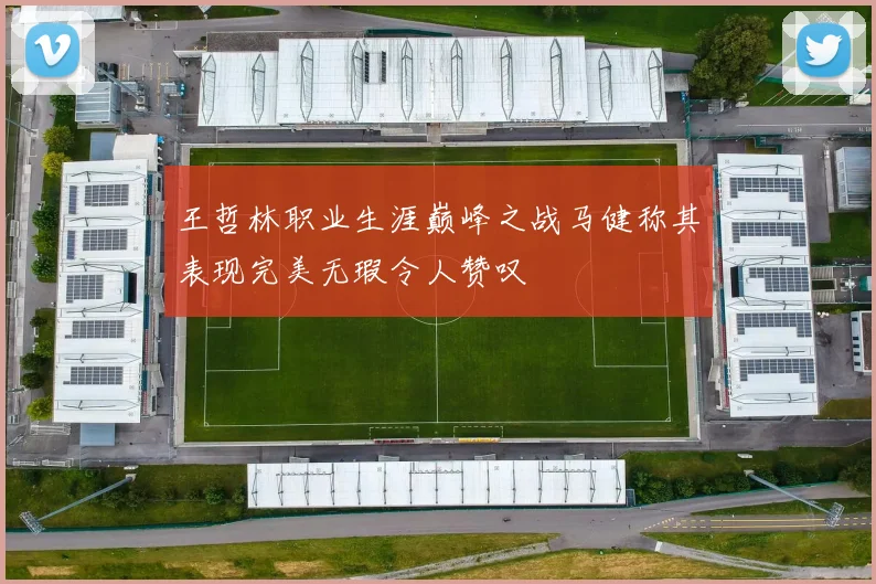 王哲林职业生涯巅峰之战马健称其表现完美无瑕令人赞叹